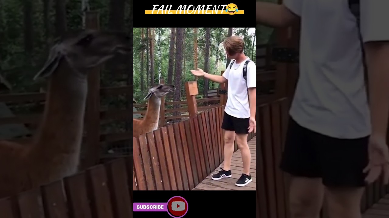 FAIL MOMENT #part_27 #failmoments #funny #memes #shorts#Oops_gallery