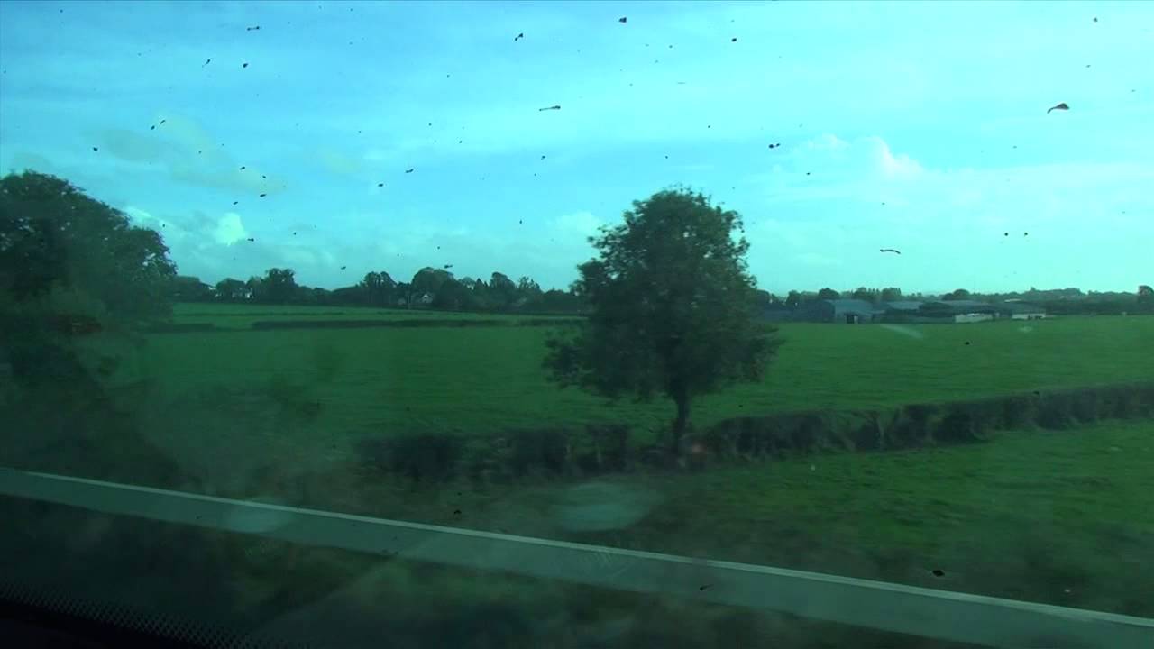 A small bit  of irish countryside on the train