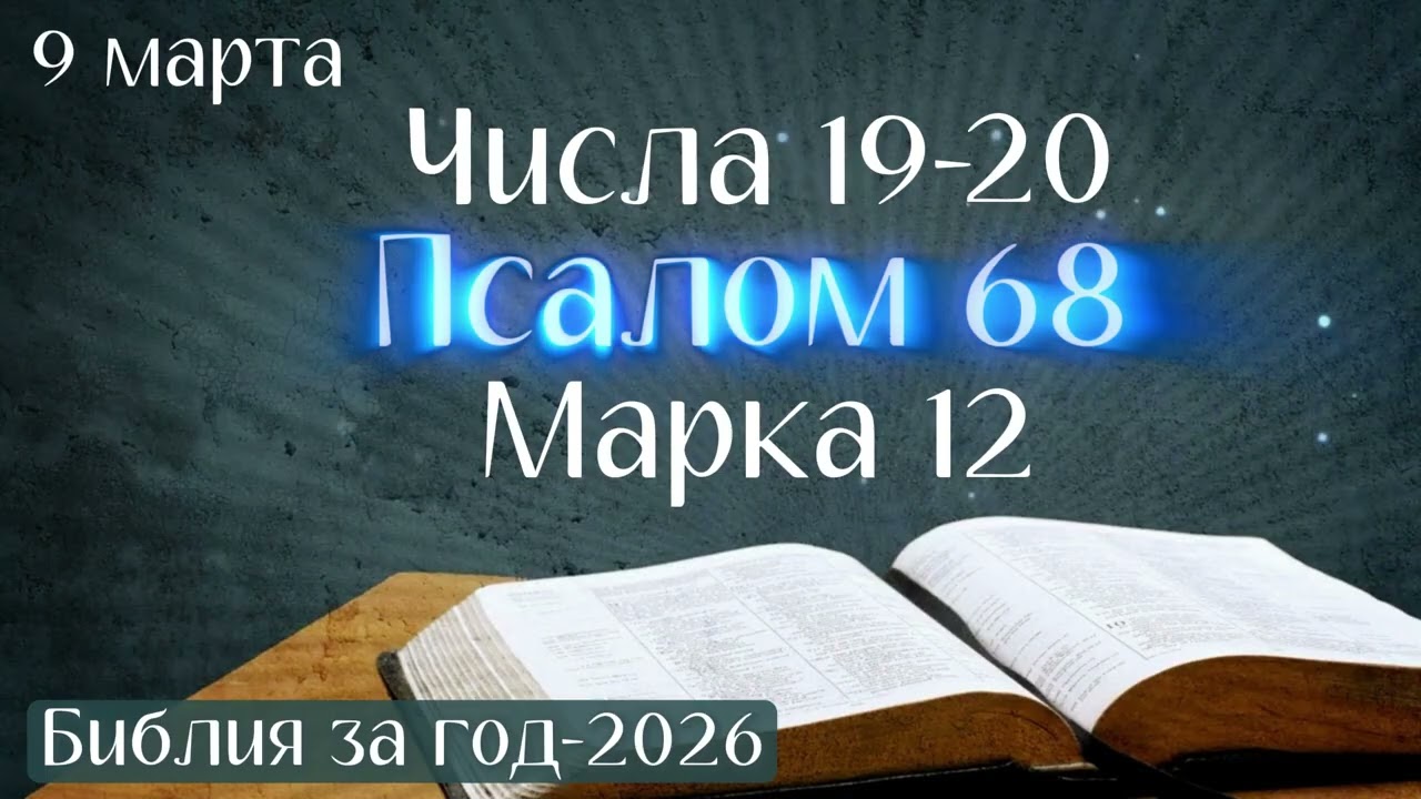 9 марта. Марафон 