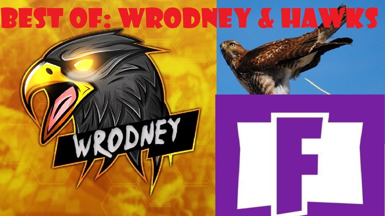 THE VERY BEST OF: WRODNEY AND HAWKS!
