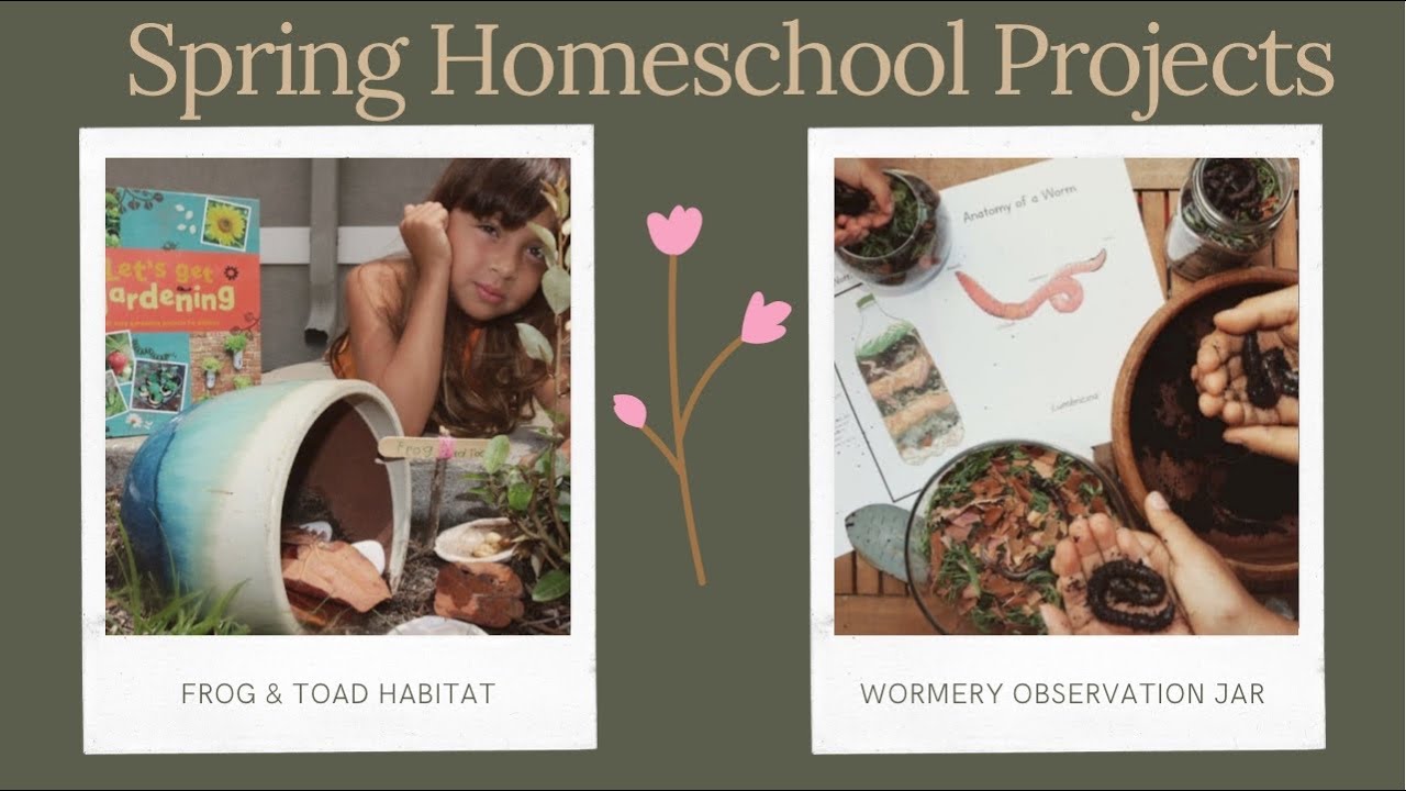 Homeschool Nature Study & Projects