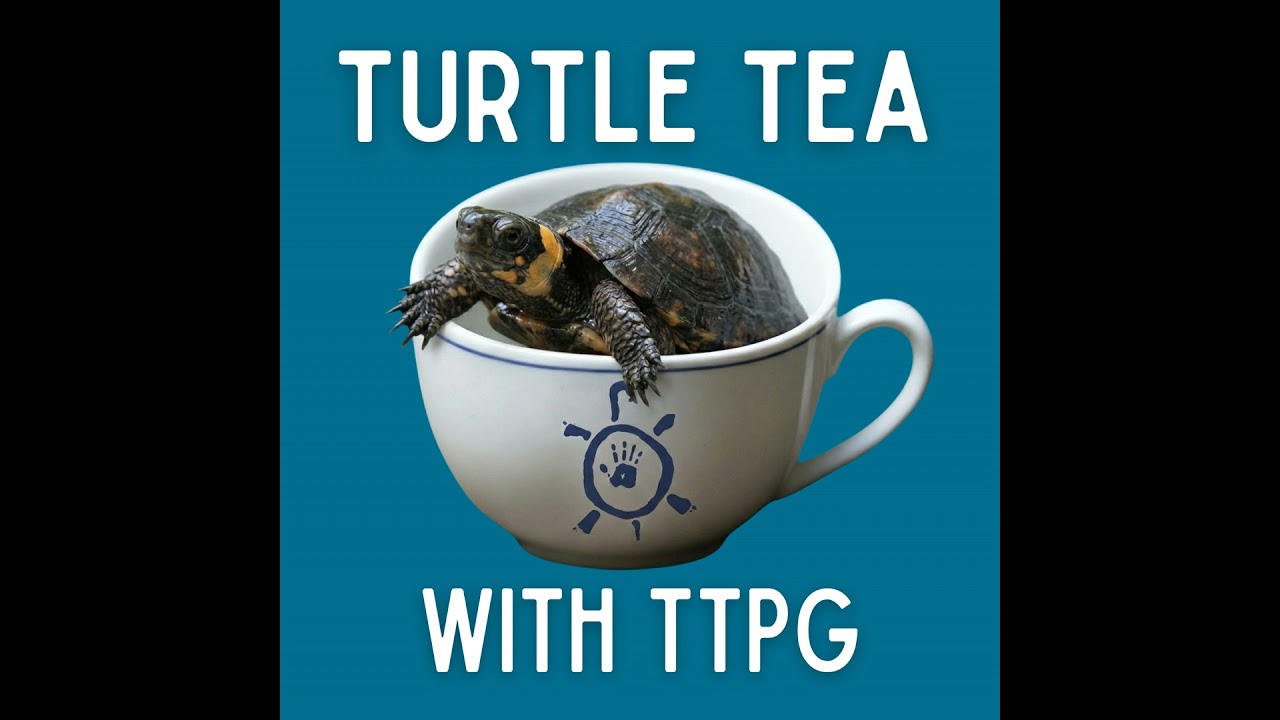 Bog Turtles: Unlocking the Secrets of Captive Breeding Success