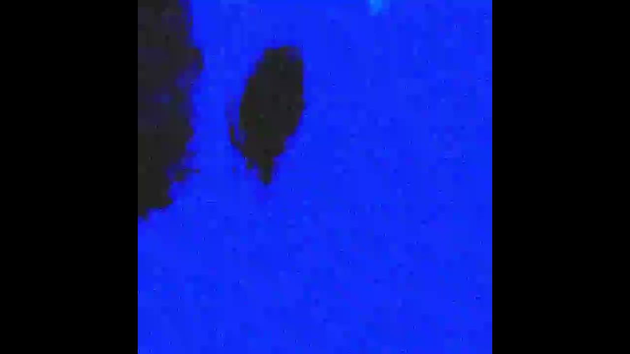 Alien2 (music