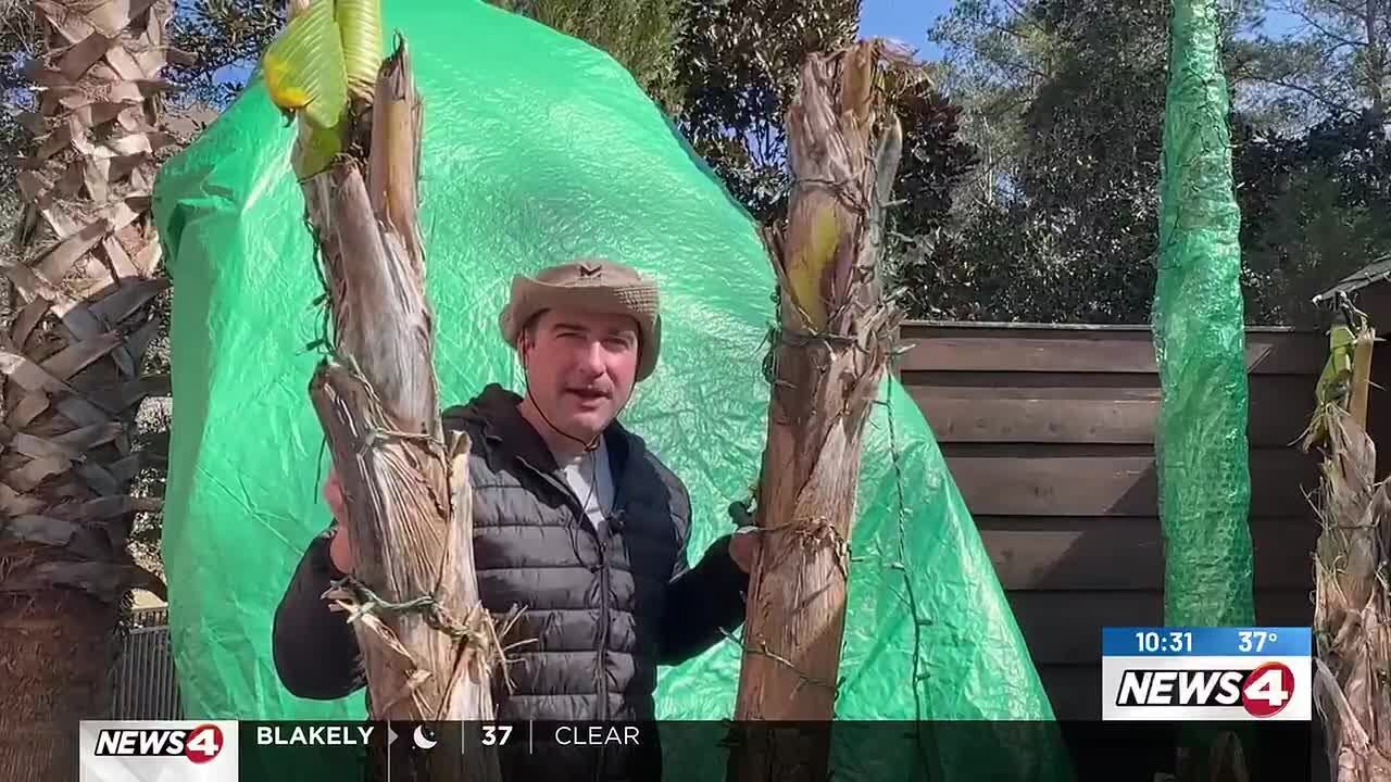 News4 First Alert Weather Extra: In the Yard with David Ep. 45