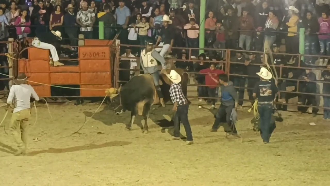 feria anual en San Simon Almolongas 03/02/24 jaripeo y baile (parte final) hasta la próxima🤗
