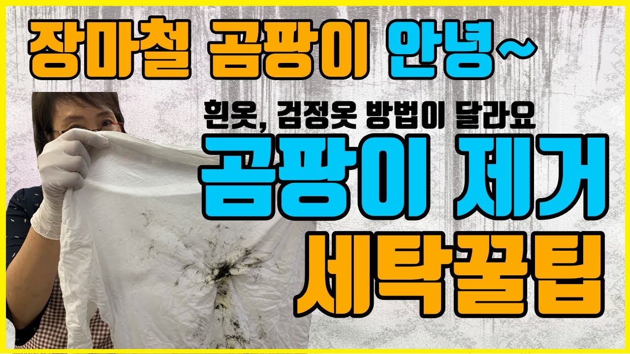 장마철 곰팡이 제거! 곰팡이 세탁법! 흰옷과 검정옷 방법이 다르다구요?? 식초말고 과탄산소다, 베이킹소다, 락스를 사용해서 완벽하게 곰팡이 제거해보세요 ^^
