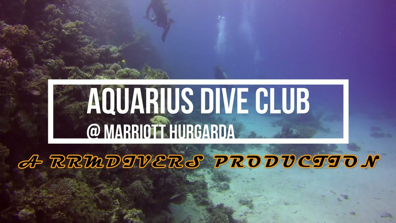 Aquarius Dive Club - Egyptian Red Sea Diving  Marriott Hurghada