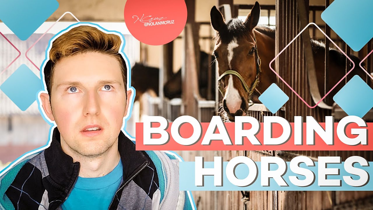 How To Board Horses As A Business
