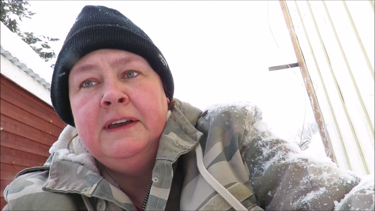 Mycket snö på väg till hönshuset   Much snow on the way to the hen house