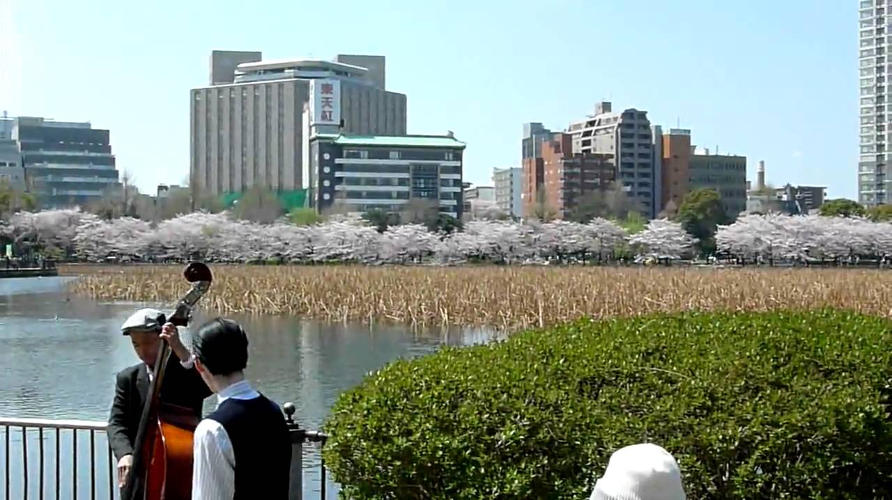 「東京大衆歌謡楽団」・・上野公園の桜と路上芸人.mov