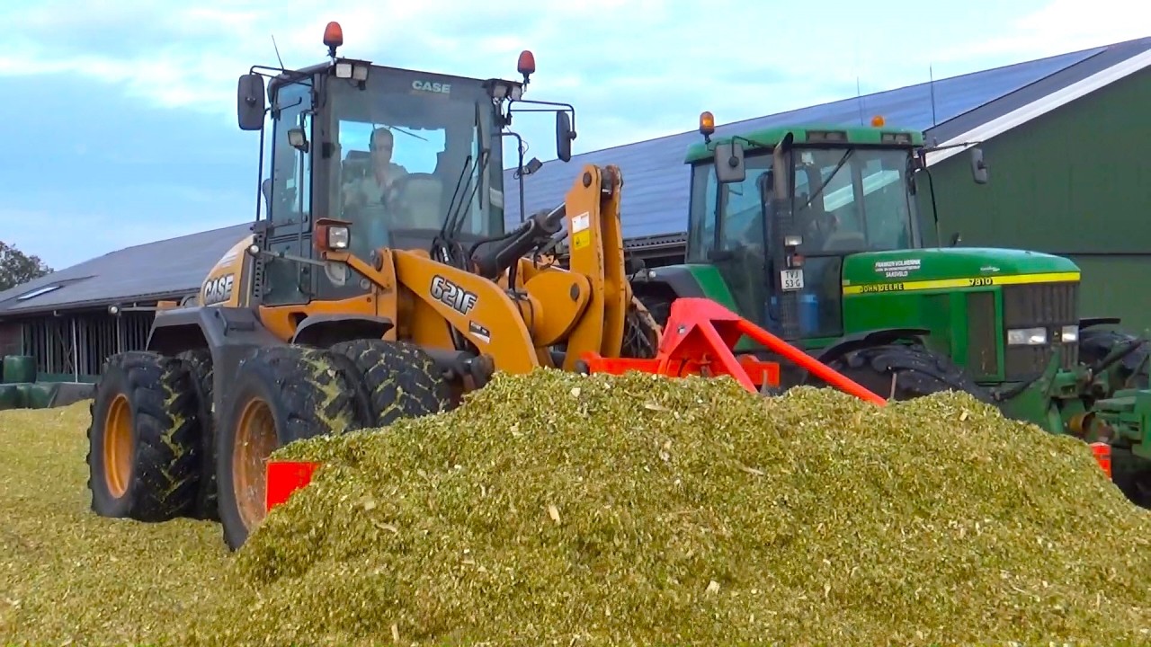 Franken Volmerink chopping corn