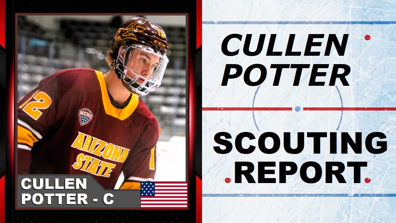 CULLEN POTTER HIGHLIGHTS - 2025 NHL Draft
