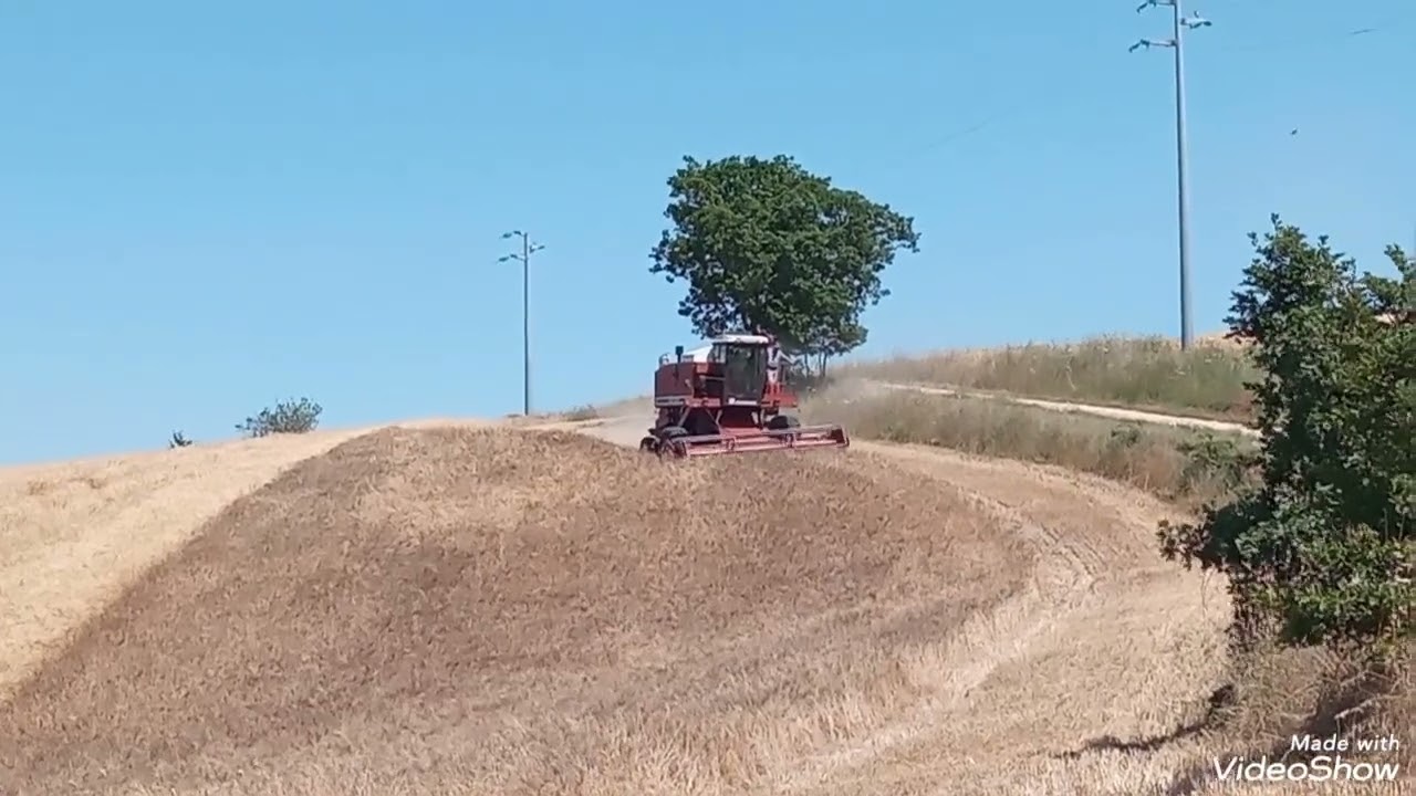 FINE CAMPAGNA CEREALICOLA 2K25 CON MIETITREBBIA LAVERDA/FIATAGRI 3350AL