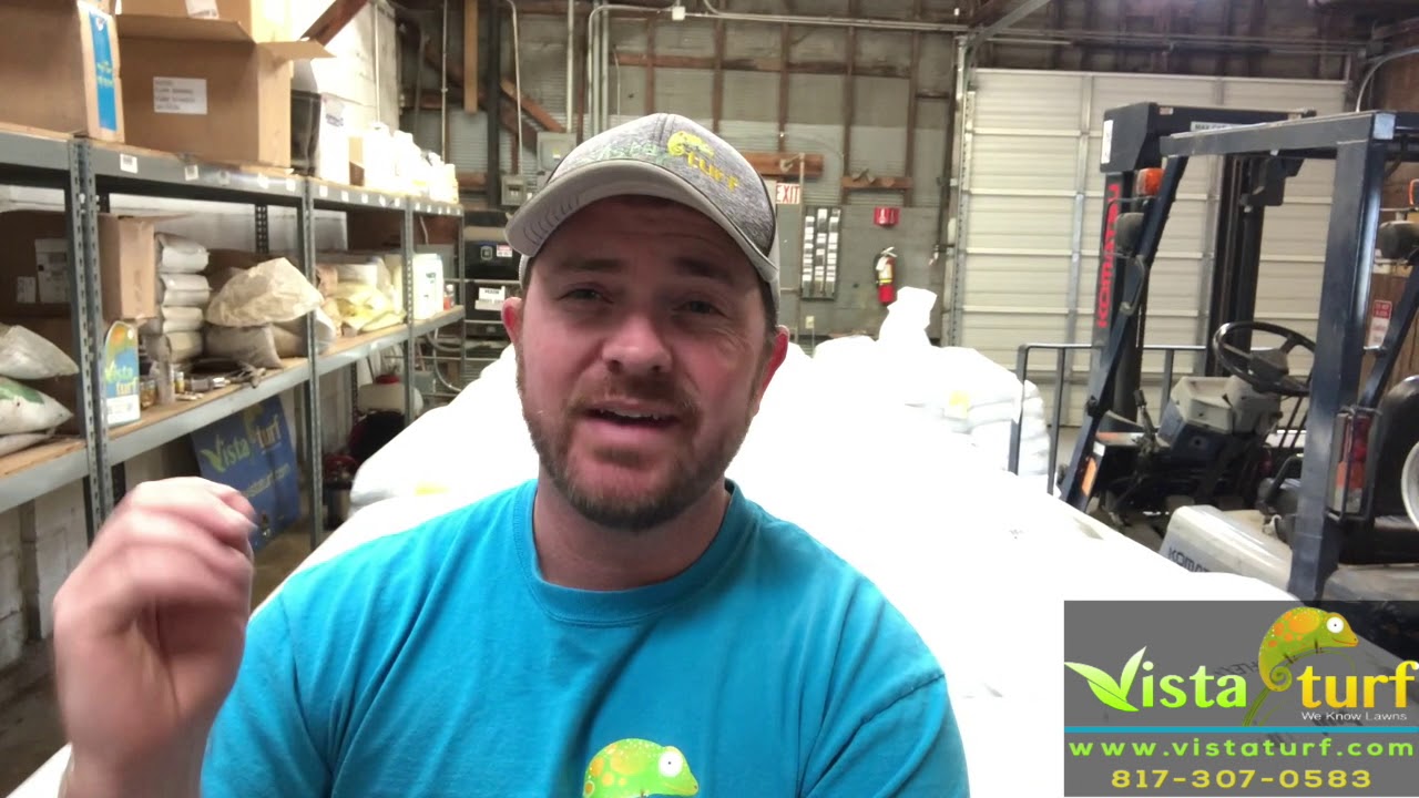 Make sure your fertilizer is slow release!