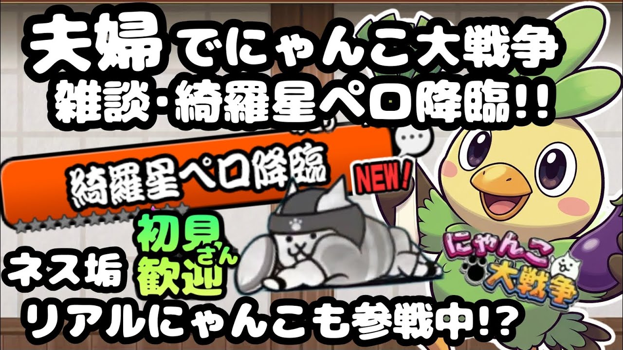 🙀綺羅星ペロペロ降臨【初見さん大歓迎】夫婦実況+リアルにゃんこでまったりにゃんこ大戦争・雑談🐾ライブ配信#104 #にゃんこ大戦争 #縦型配信 #ライブ配信 #shorts #shorts #初見