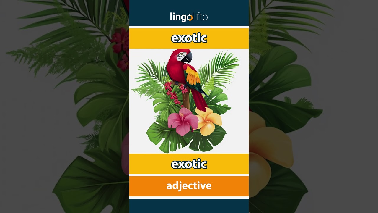 🇬🇧🇷🇴 exotic - exotic : learn English : să &icirc;nvățăm engleza : vocabulary builder