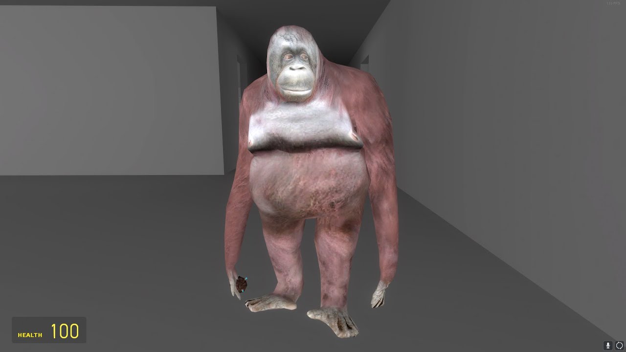 استریم عیدانه نمکی با گیم های متفاوت  ترسناک و  رینبو 6