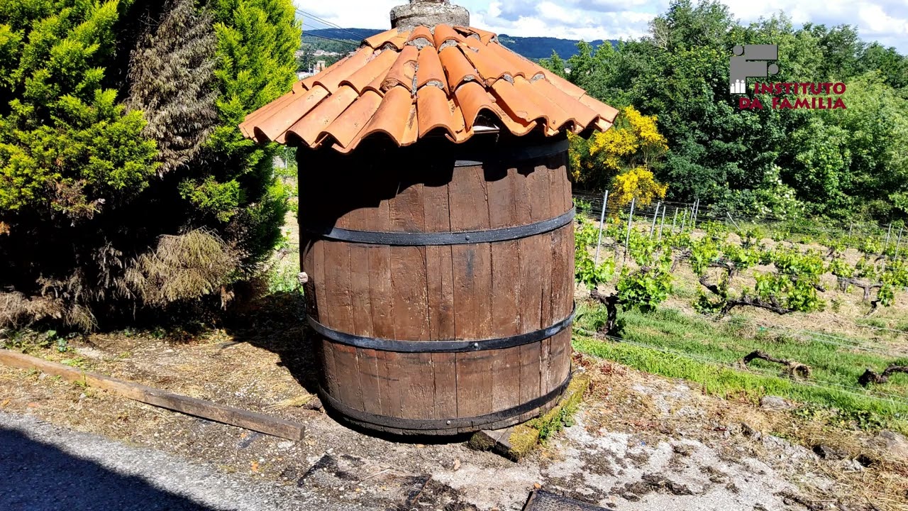 Explora Ferreira de Pantón.🌳  ¡Acompáñanos en este emotivo viaje!