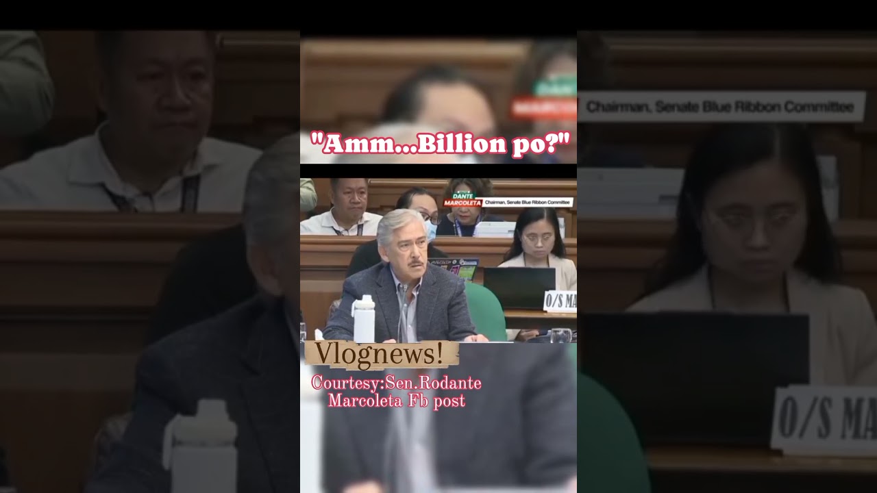Senate Hearings in Discaya Flood Control Projects Anomalies! Vlognews✅ 
