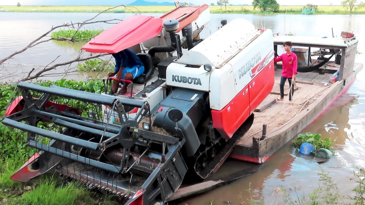Greatest Activities Harvester Loading Safety Operator Skills Workers Cropping Rice Harvesting