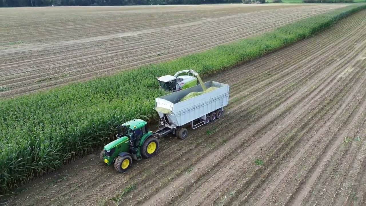 Ensilage de maïs 2024