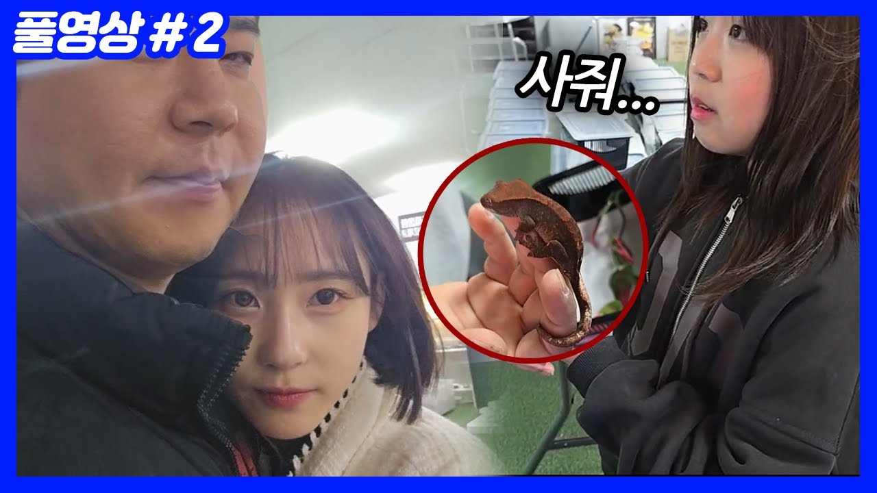 3천만원짜리 도마뱀이 있다고 해서 왔는데... (26.01.28-2)