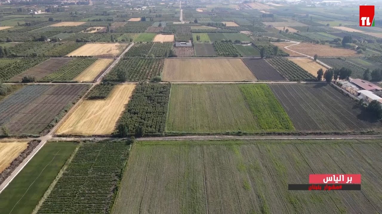 مشوار بلبنان - بر الياس