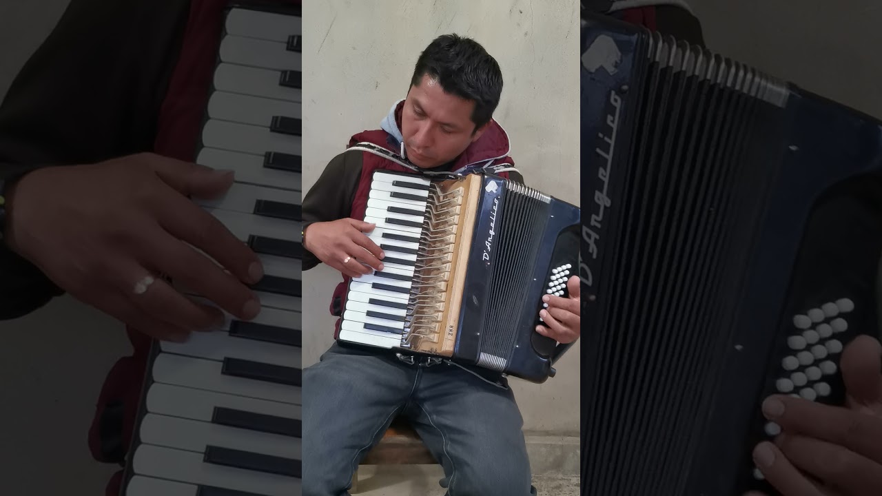 Golondrina fugas *María  Juana-SALAY[TUTORIAL Nivardo melean NH] @Melean Gh 👉(Oficial)🙏