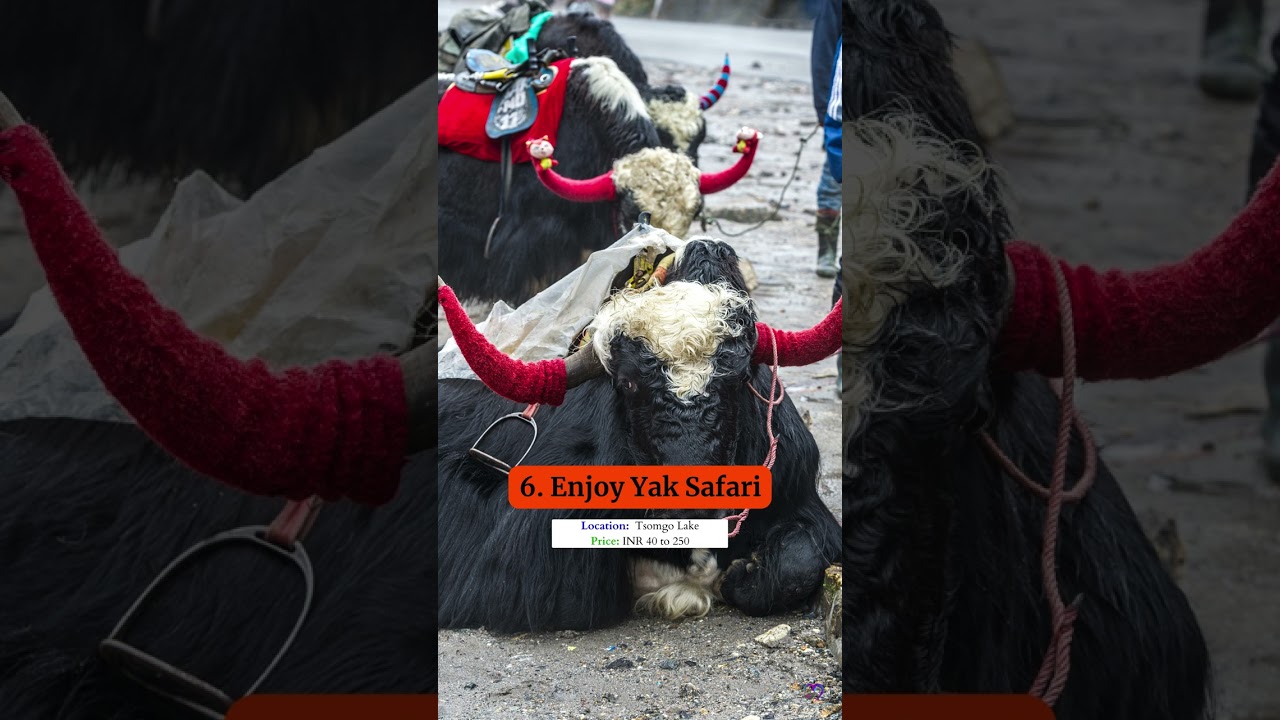 Top 10 Awesome Things to do in Gangtok #gangtok