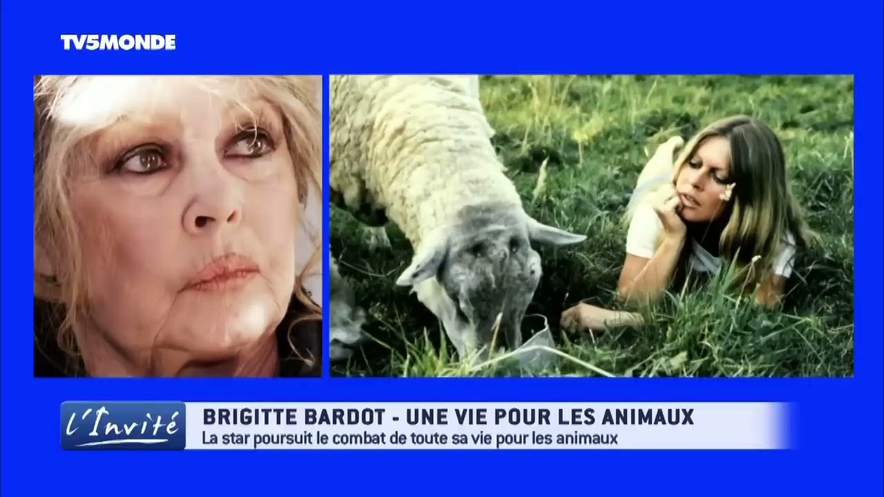 Brigitte BARDOT : 