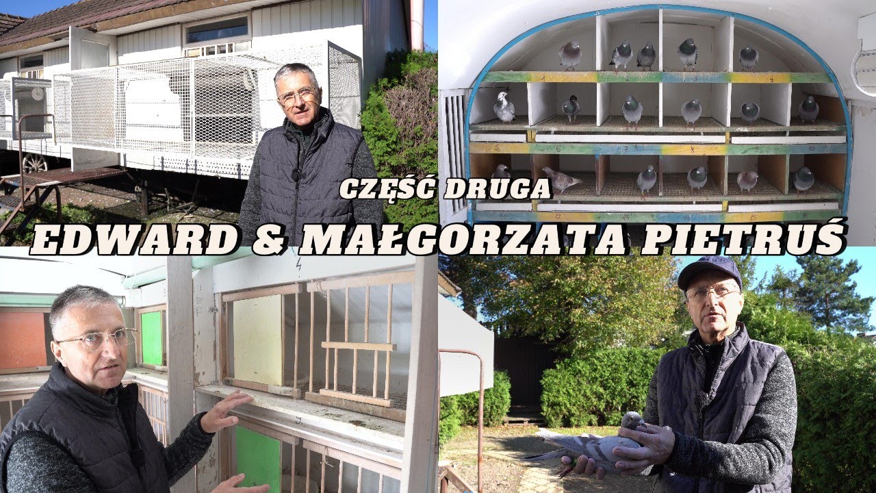 Edward & Małgorzata Pietruś - 0290 Krosno | Część 2! Hodowla w praktyce. Mistrzowie z Dukli! 🏆