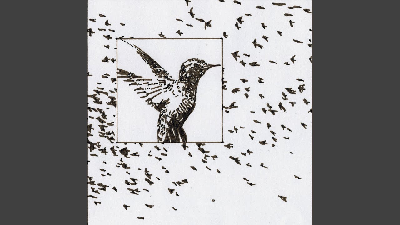Hummingbird