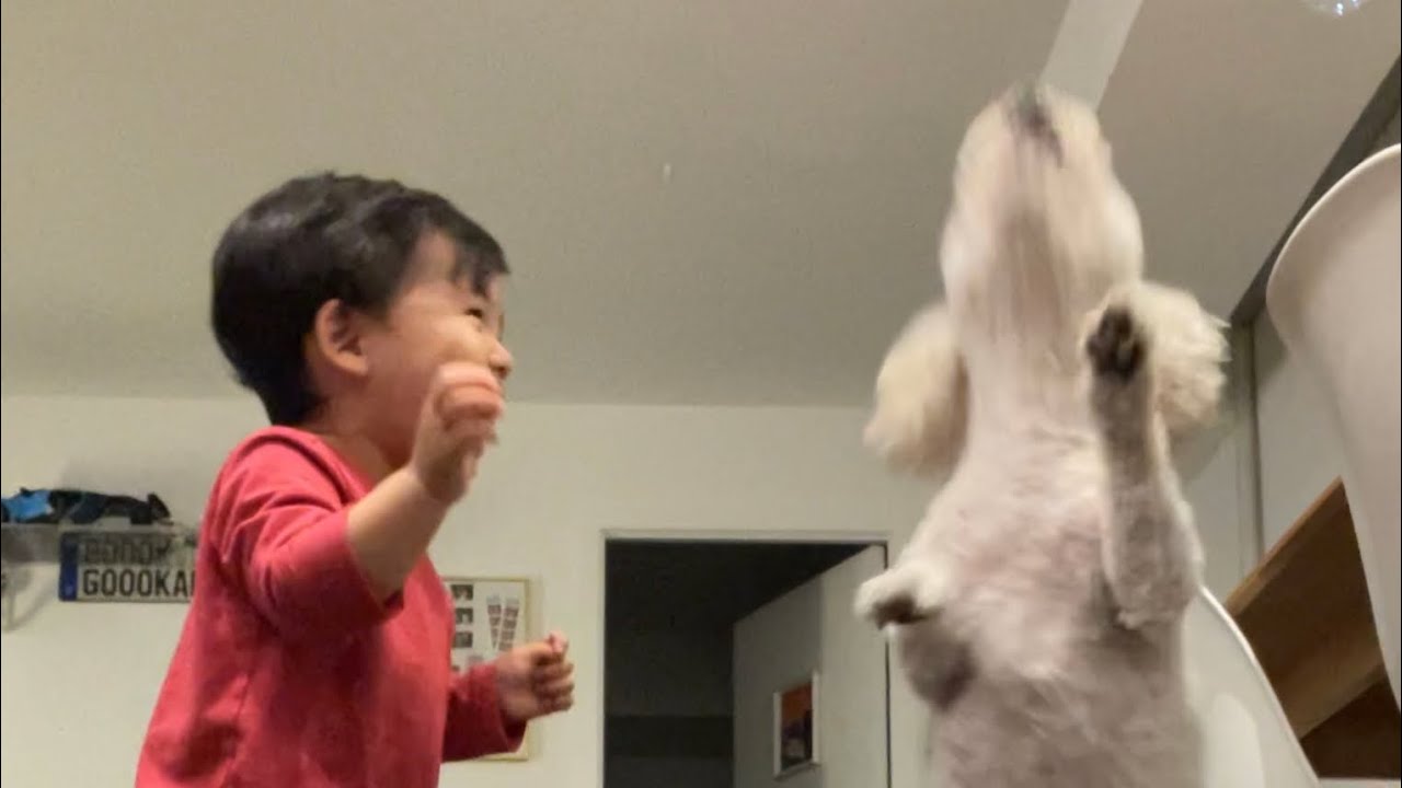 just a regular day with mateo - toys, hugs, mukbang and bubbles