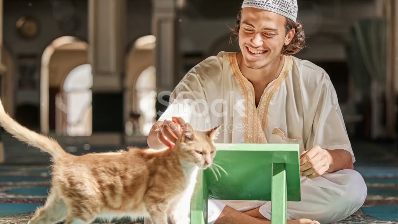 Compassion in Islam  :  A Deep Dive