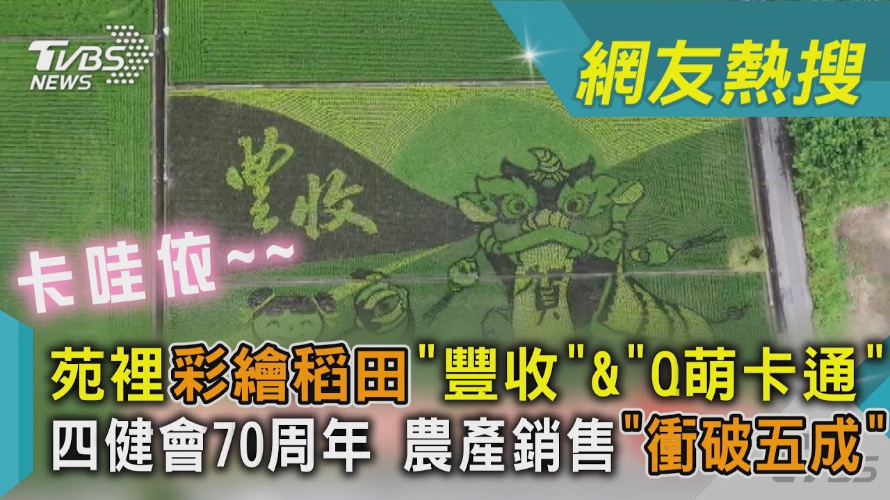 苑裡彩繪稻田「豐收」&「Q萌卡通」 四健會70周年 農產銷售「衝破五成」｜TVBS新聞