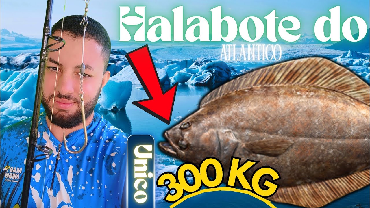 Como pegar o halabote do atlântico único! 300kg spot (Atlantic halibut unic) 