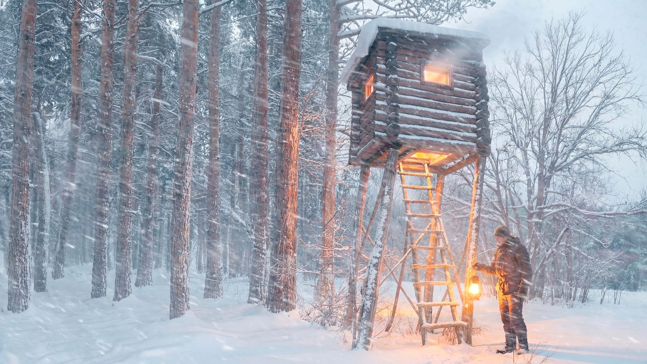 A Hidden Treehouse Becomes His Winter Shelter. ASMR