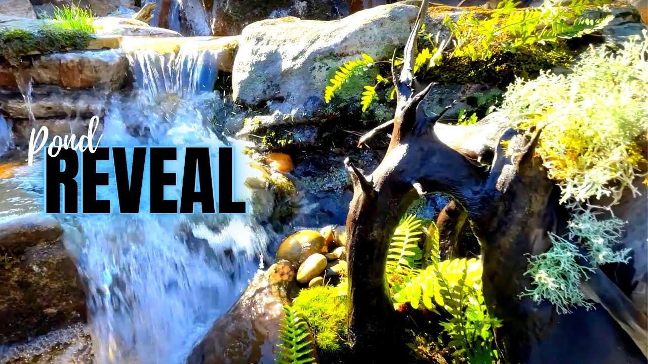 Custom Koi Pond 20' x 30' Part 2 | REVEAL