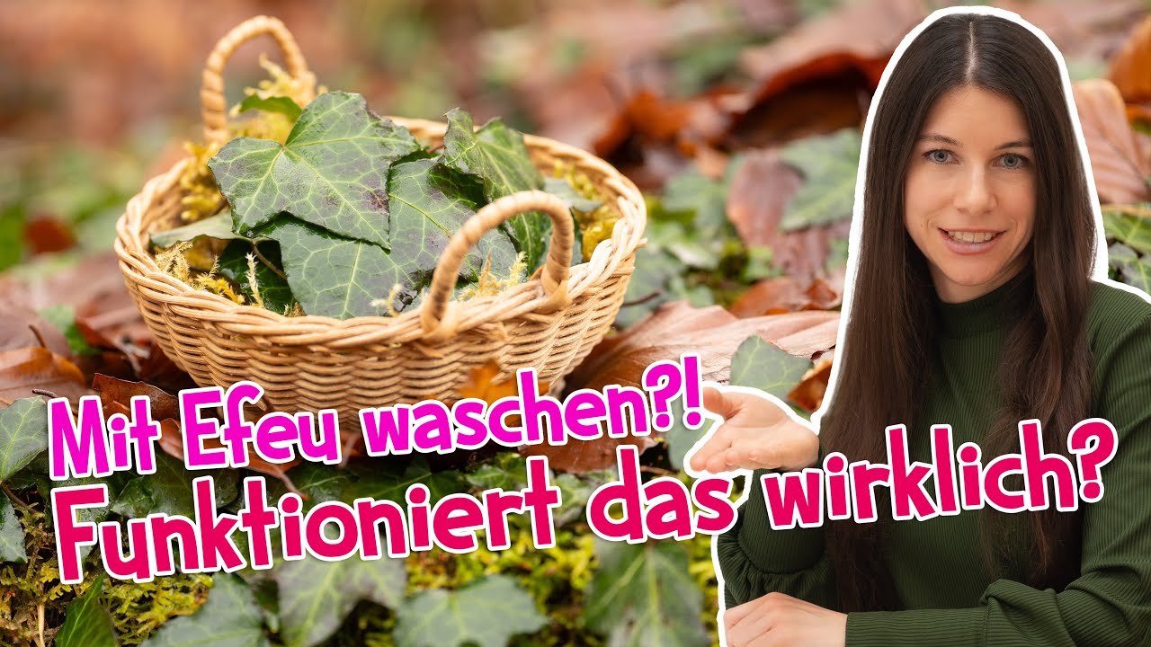 Efeu als Waschmittel? 🌿 Ich habe es getestet - funktioniert das wirklich? #diy #garten