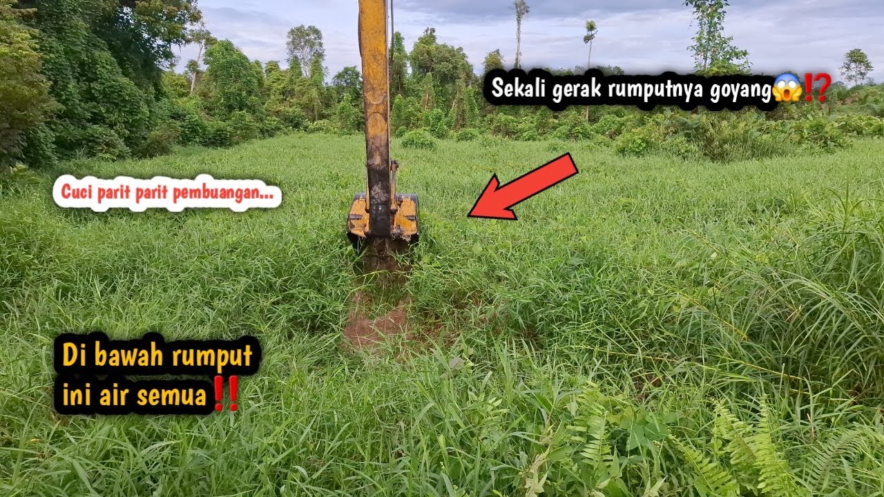 Sekali gerak rumputnya goyang😱⁉️Di bawah ini air semua‼️Cuci parit pembuangan