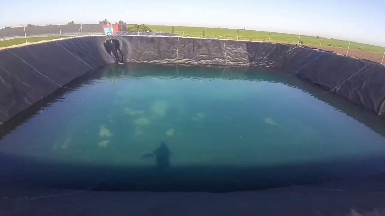 هكذا يتم تغليف الصهريج ولحم البلاستيك وقمت بإطلاق أسماك فيه🐟🐬 الجزء التاني