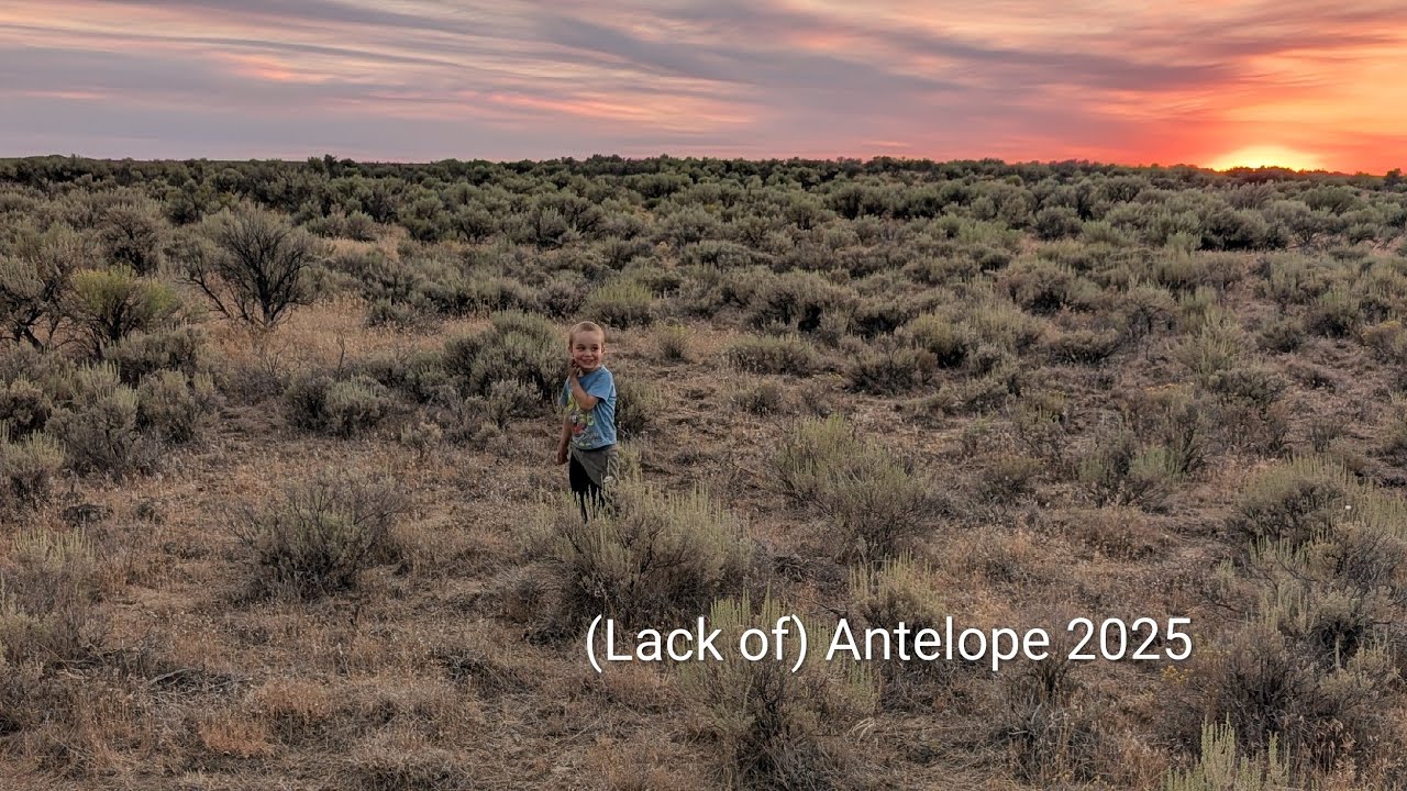 Y3E17: Antelope 2025