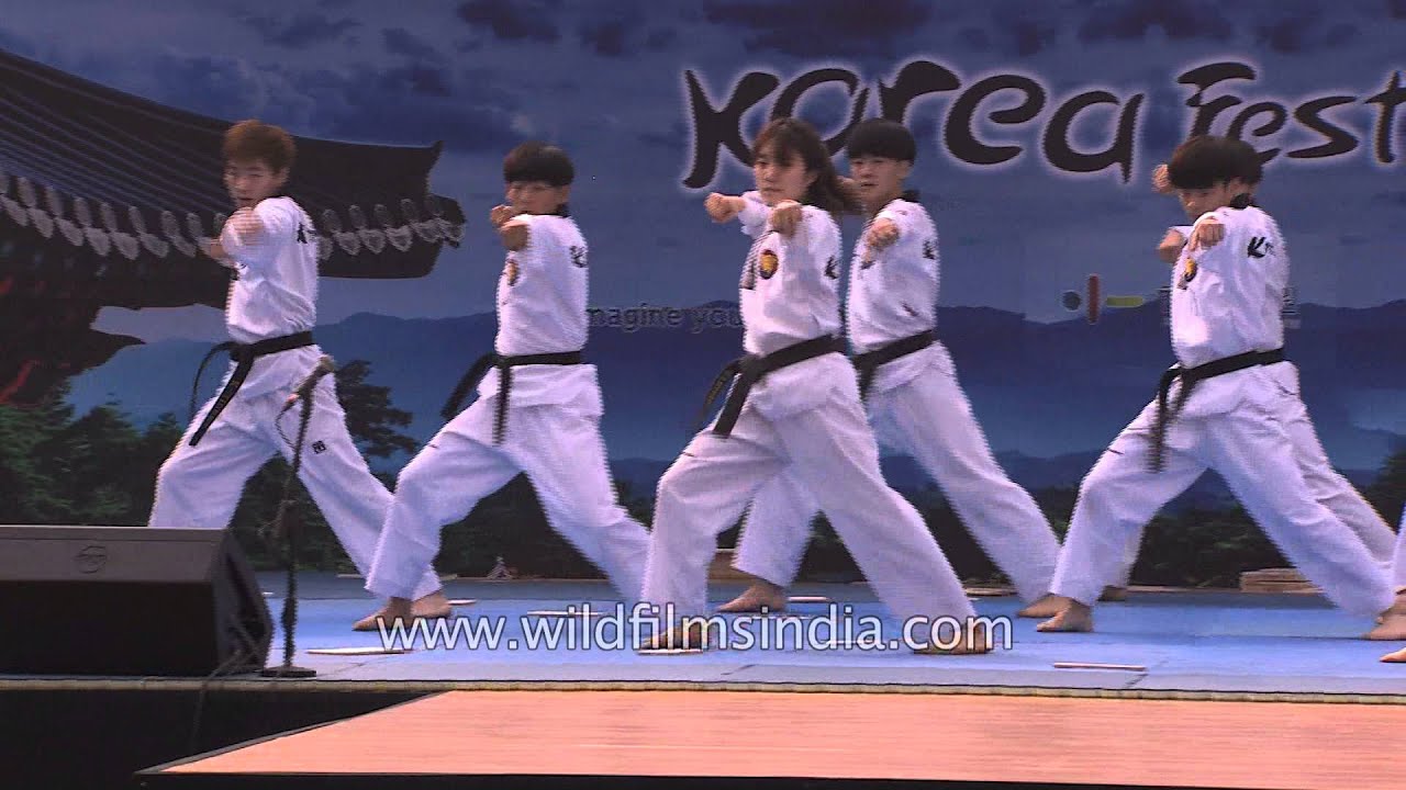 K Tigers - Taekwondo performance from Korea