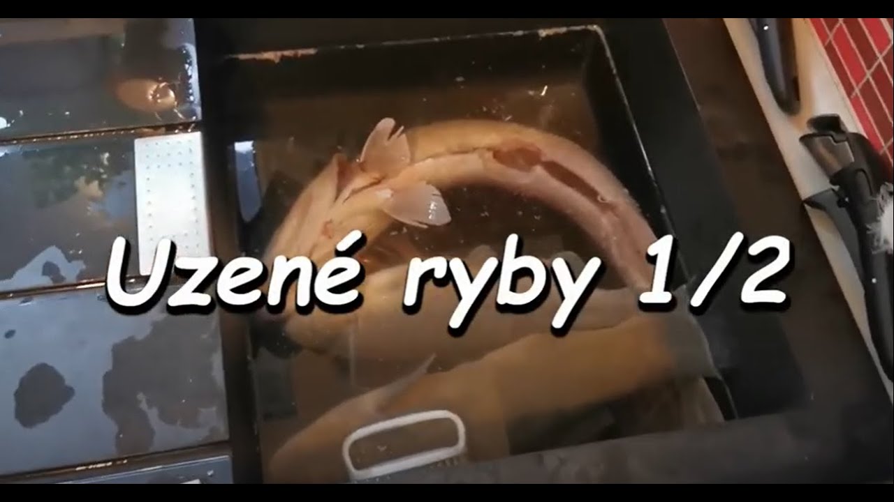No.12 Jak udím ryby? Štika Lín Pstruh 1. díl