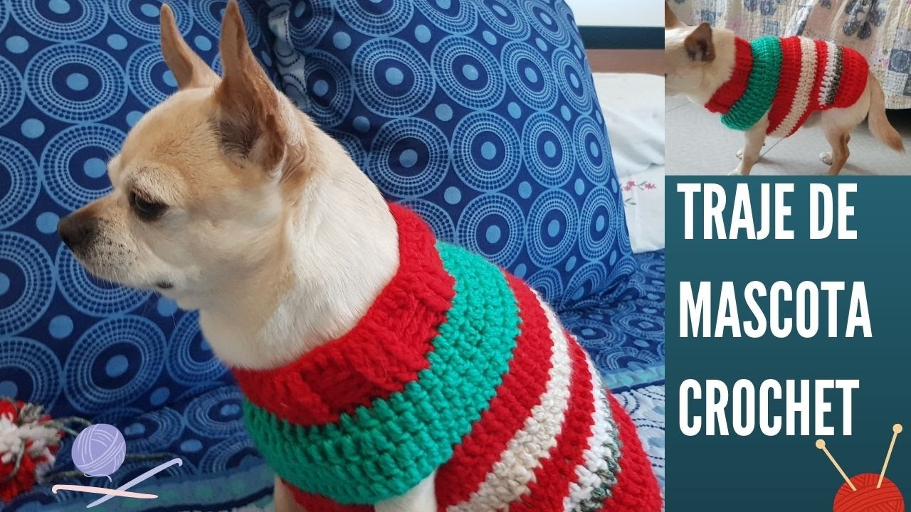 🐶 | JERSEY & SUÉTER DE CROCHET PARA PERRO | PASO A PASO‼️ | 2021