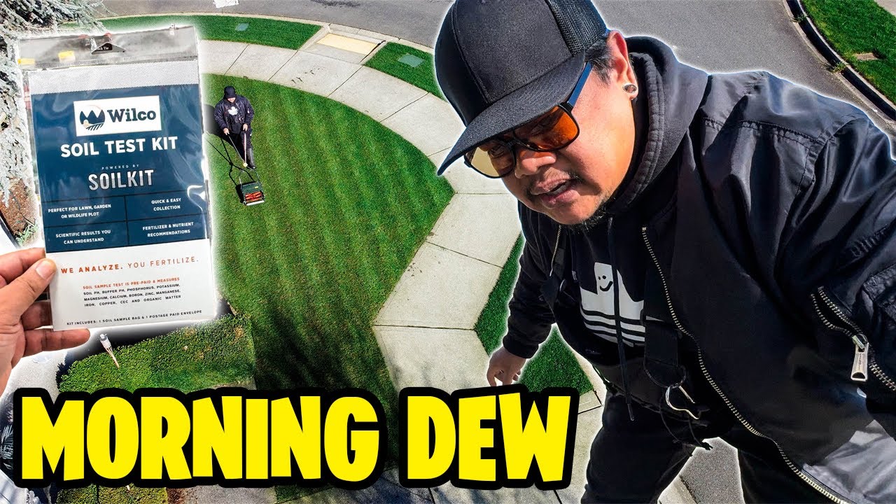 Early Morning Lawn Session & Soil Test! *Warning* I am grumpy in this one 😂🤙🏾