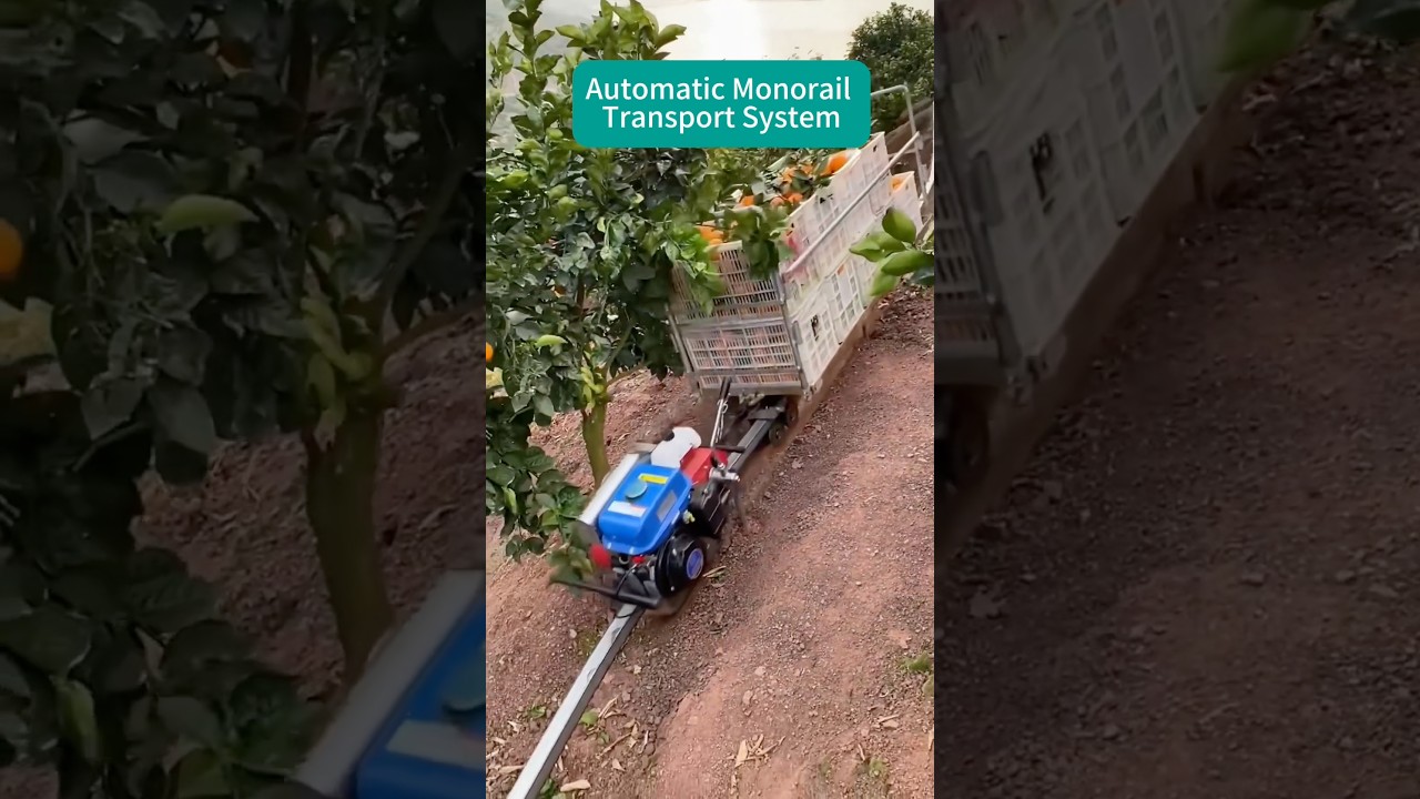 Farm monorail transport system #China #chinatechnology #monorail #farming