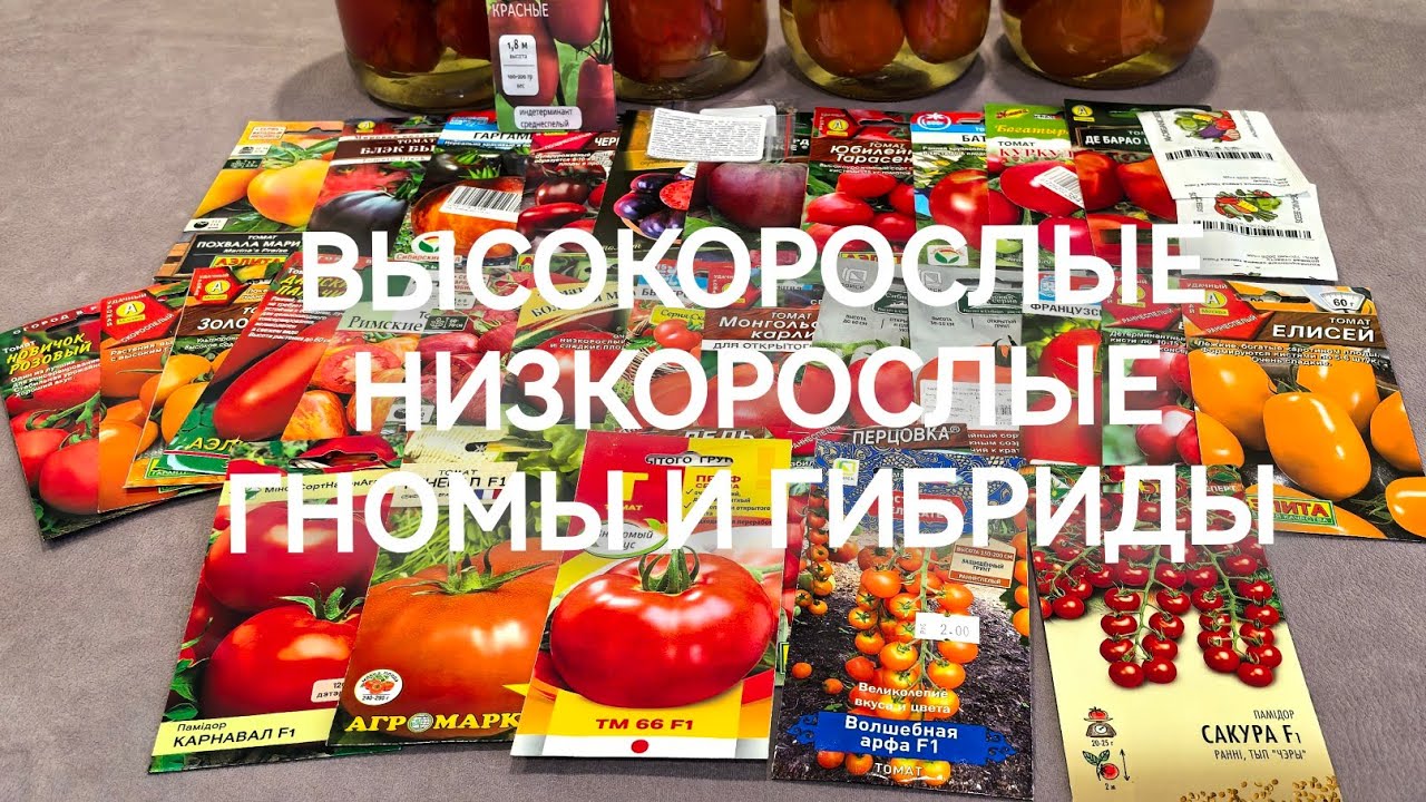 Семена томатов на 2026 г. Хватит ли места?