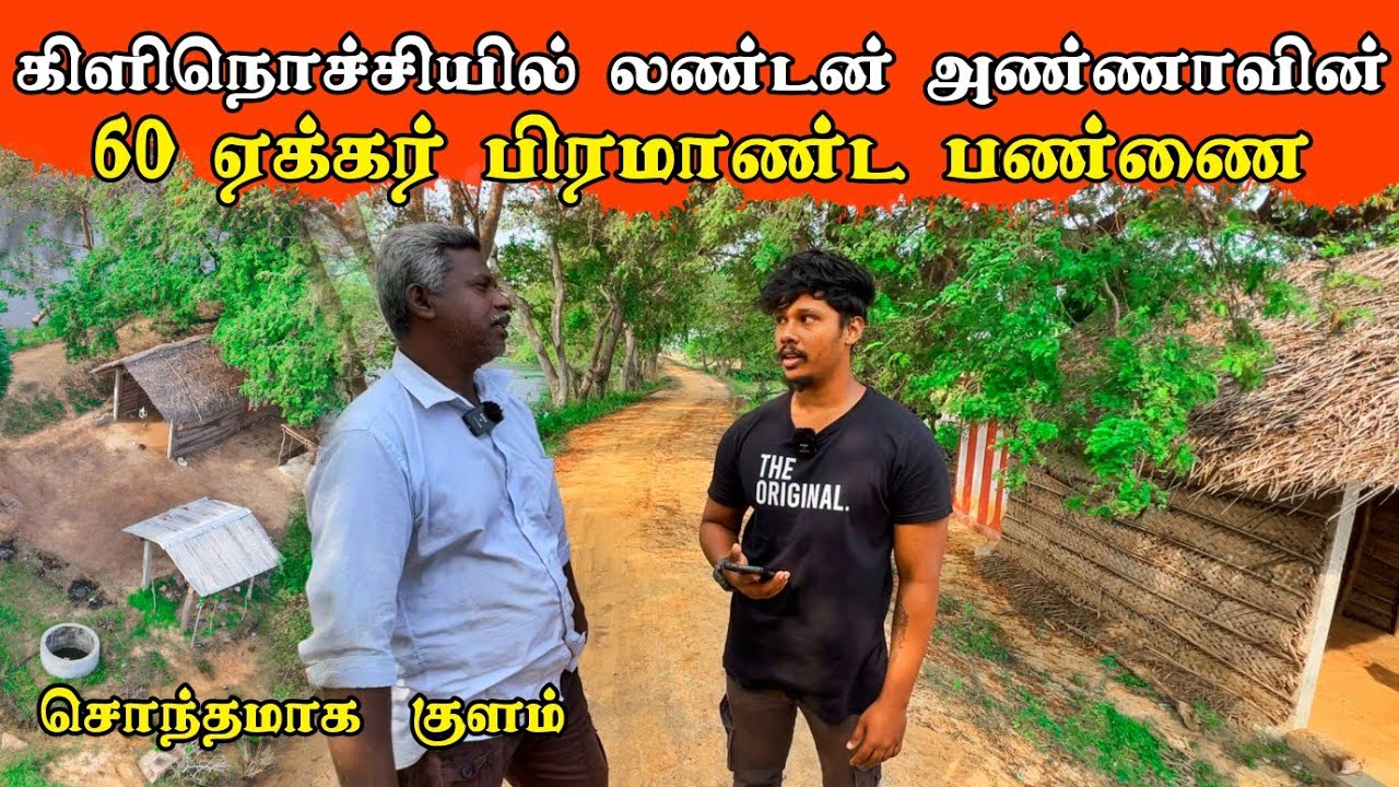 கிளிநொச்சியில் லண்டன் அண்ணாவின் பிரமாண்ட பண்ணை🌴 / London Anna Farm / Tamil bros
