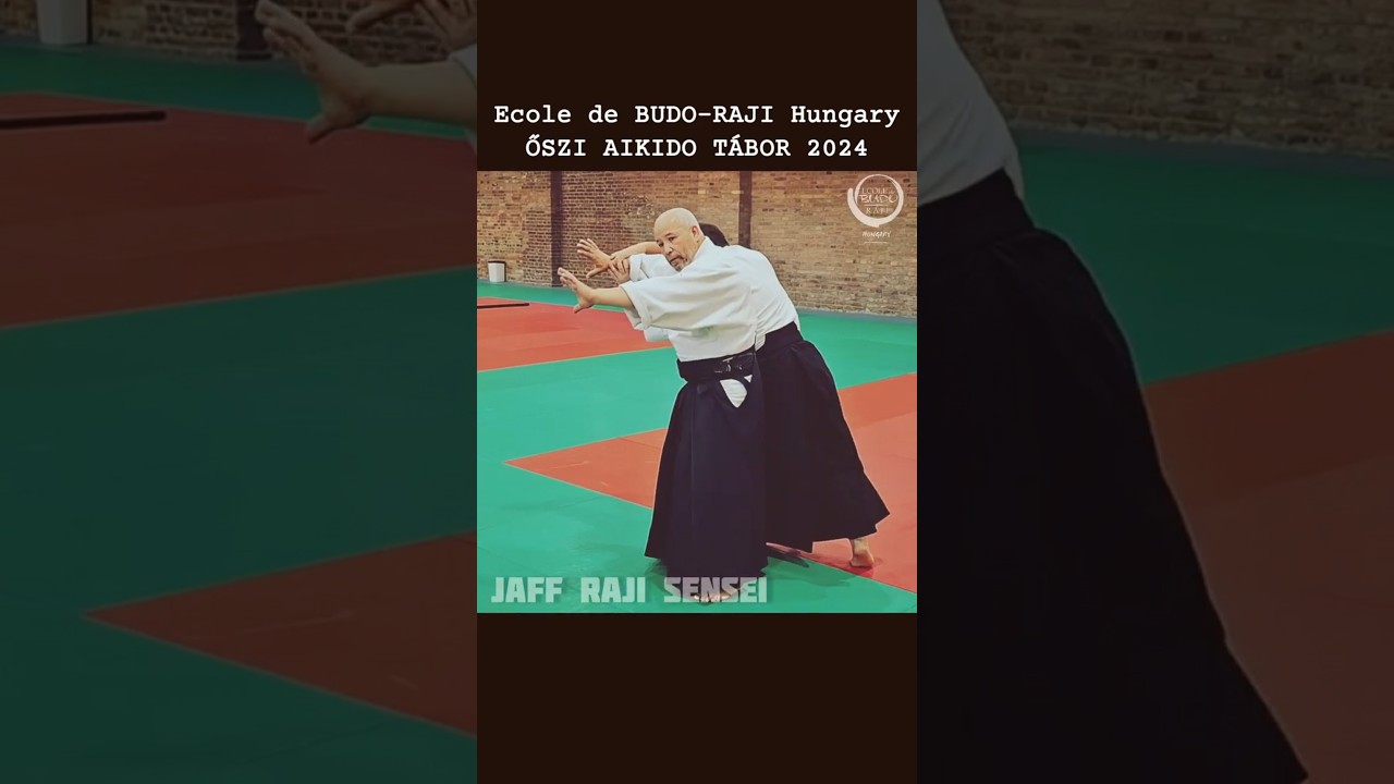 ŐSZI AIKIDO  TÁBOR Jaff Raji Senseijjel 2024 #aikido #martialarts #ecoledebudoraji